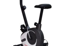 XE ĐẠP TẬP THỂ DỤC VIKING VK- 02