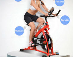 XE ĐẠP TẬP SPIN BIKE