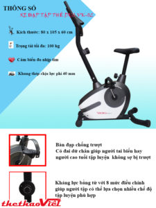 xe-dap-tap-the-duc-viking-vk-02