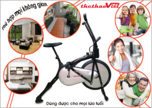 xe-dap-tap-the-duc-viking-vk-01