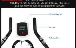 xe-dap-tap-the-duc-spin-bike