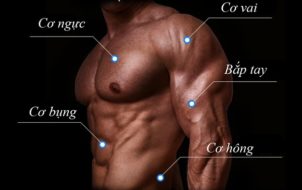 Bánh xe con lăn tập bụng AB Slimmer