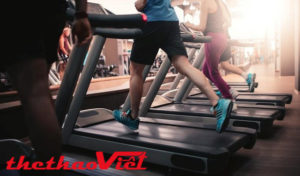 Chọn mua máy chạy bộ tại thể thao việt
