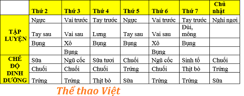 lịch tập thể hình tại nhà