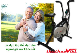 Dòng xe tập thể dục tốt cho người già