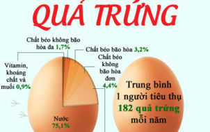 thông tin về trứng gà