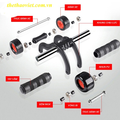 cấu tạo con lăn tập cơ bụng