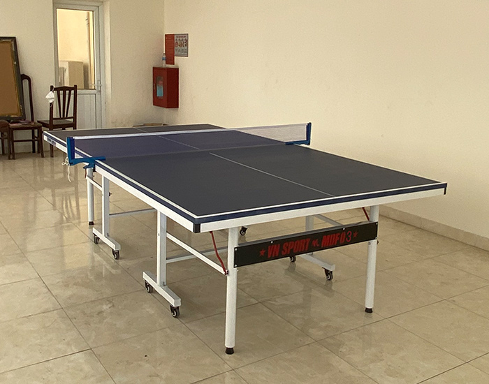 ban-bong-ban-vina-sport-mdf-03-4