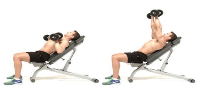 Incline dumbbell press sử dụng lực đẩy tạ tác động lên cơ ngực, cơ vai, cơ bắp tay